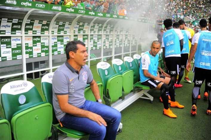 Insólito: Palmeiras perdió con Corinthians... y contra las abejas