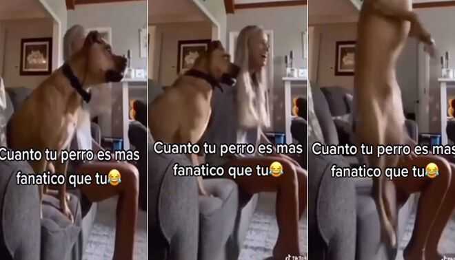 ¡Un xeneize más! Perro se emociona con el gol de Riquelme a River del Torneo Final 2014